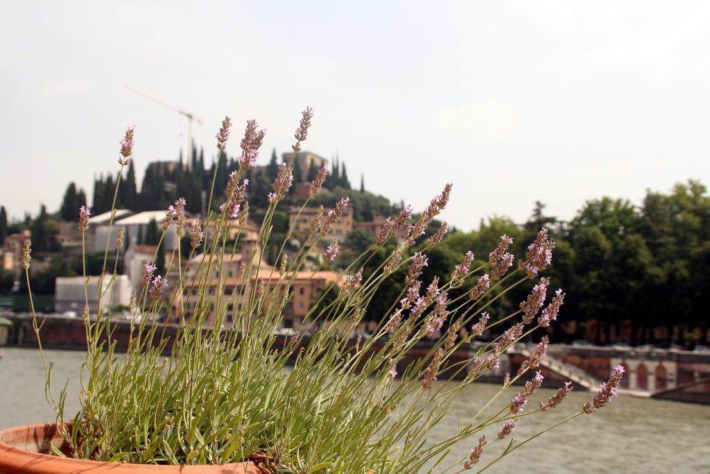 Sottoriva36 Bed and Breakfast Verona Exteriör bild